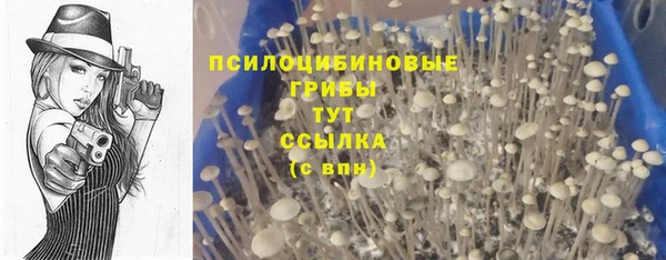 MDMA Карталы