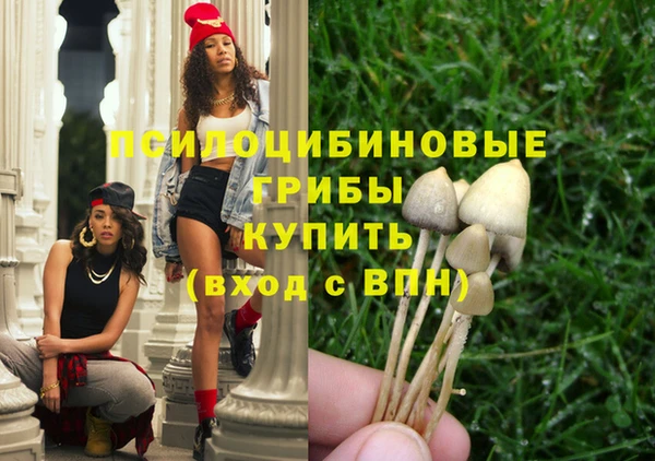 не бодяженный Карпинск