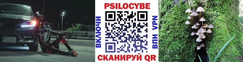 Галлюциногенные грибы Magic Shrooms  Купить  Данков 